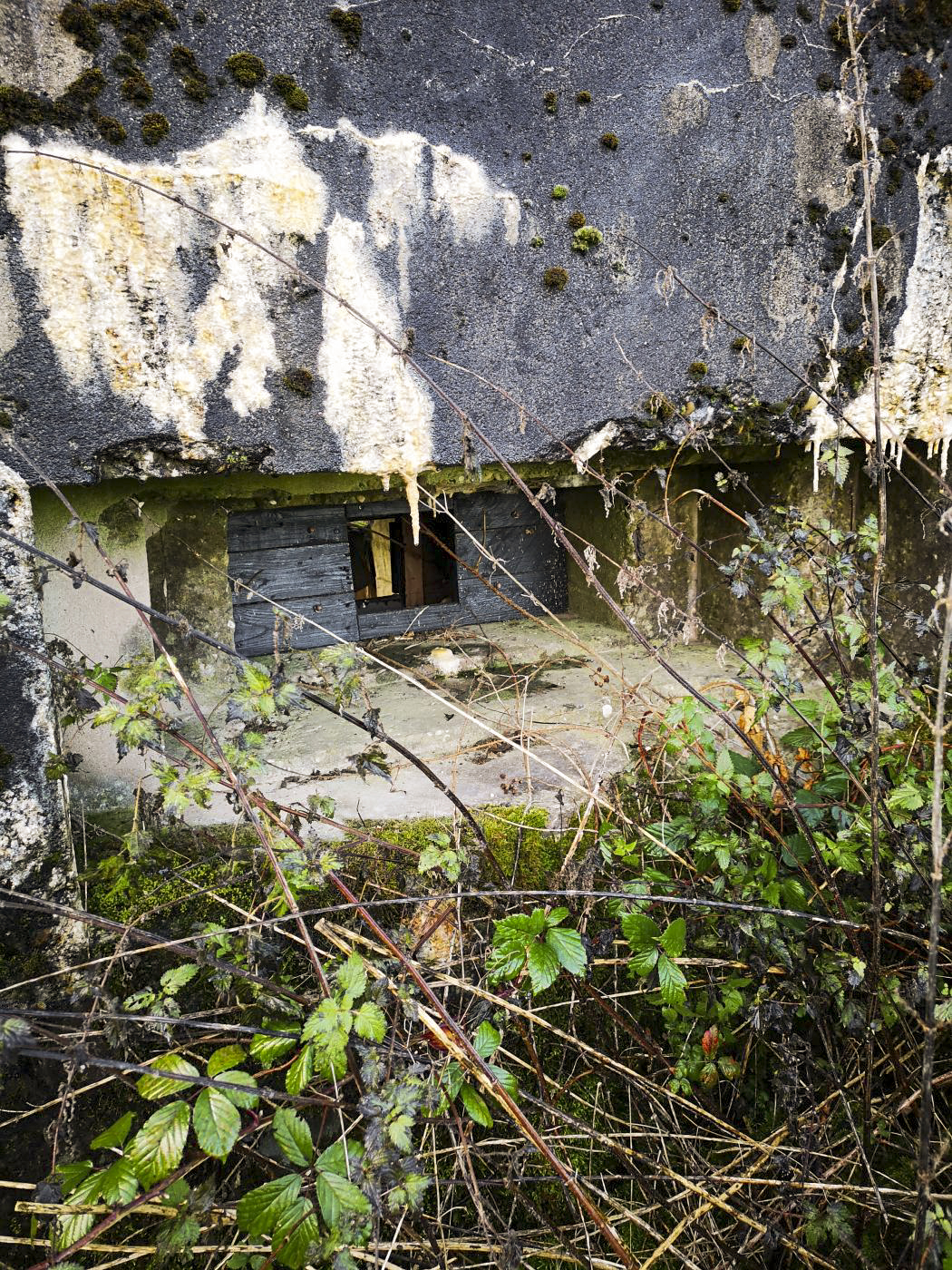 Ligne Maginot - WASENBERG 6 - (Blockhaus pour arme infanterie) - Vue sur le créneau pour mitrailleuse, retapé avec du bois