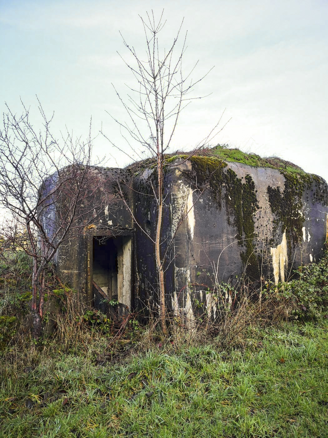 Ligne Maginot - WASENBERG 6 - (Blockhaus pour arme infanterie) - L'arrière du blockhaus et l'entrée