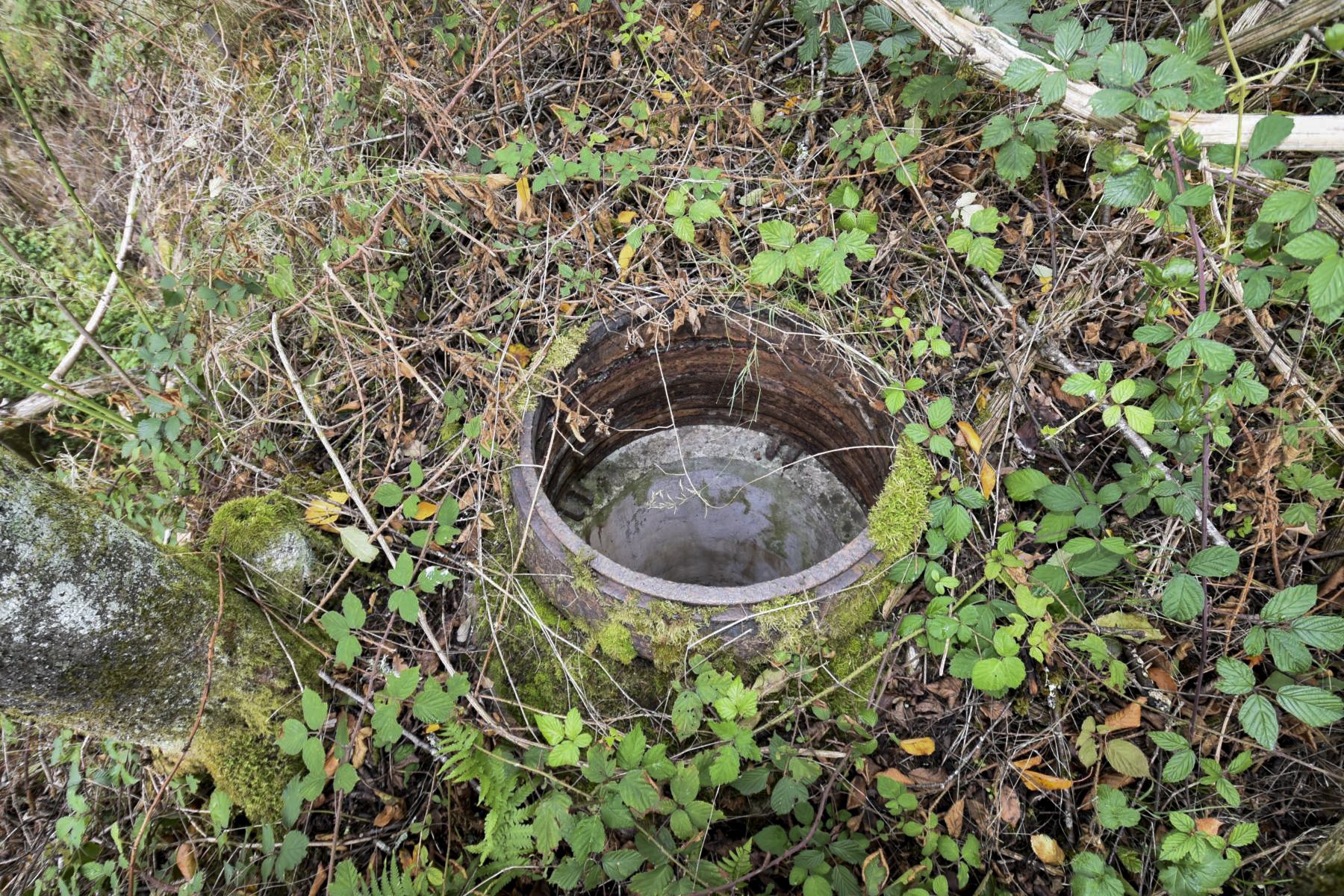 Ligne Maginot - WASENBERG 5 - (Blockhaus pour canon) - 
