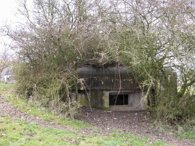 Ligne Maginot - WOLFSREDGEN CENTRE - (Blockhaus pour canon) - 
