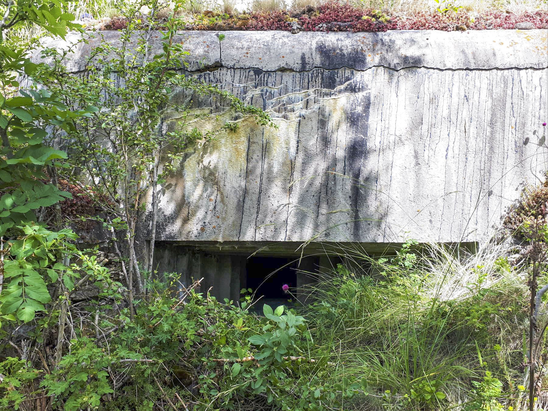 Ligne Maginot - AMODON - (Observatoire d'infanterie) - Créneau observatoire Sud-Est
Noter le dégagement permettant d'accroître le champ de vision sur la droite