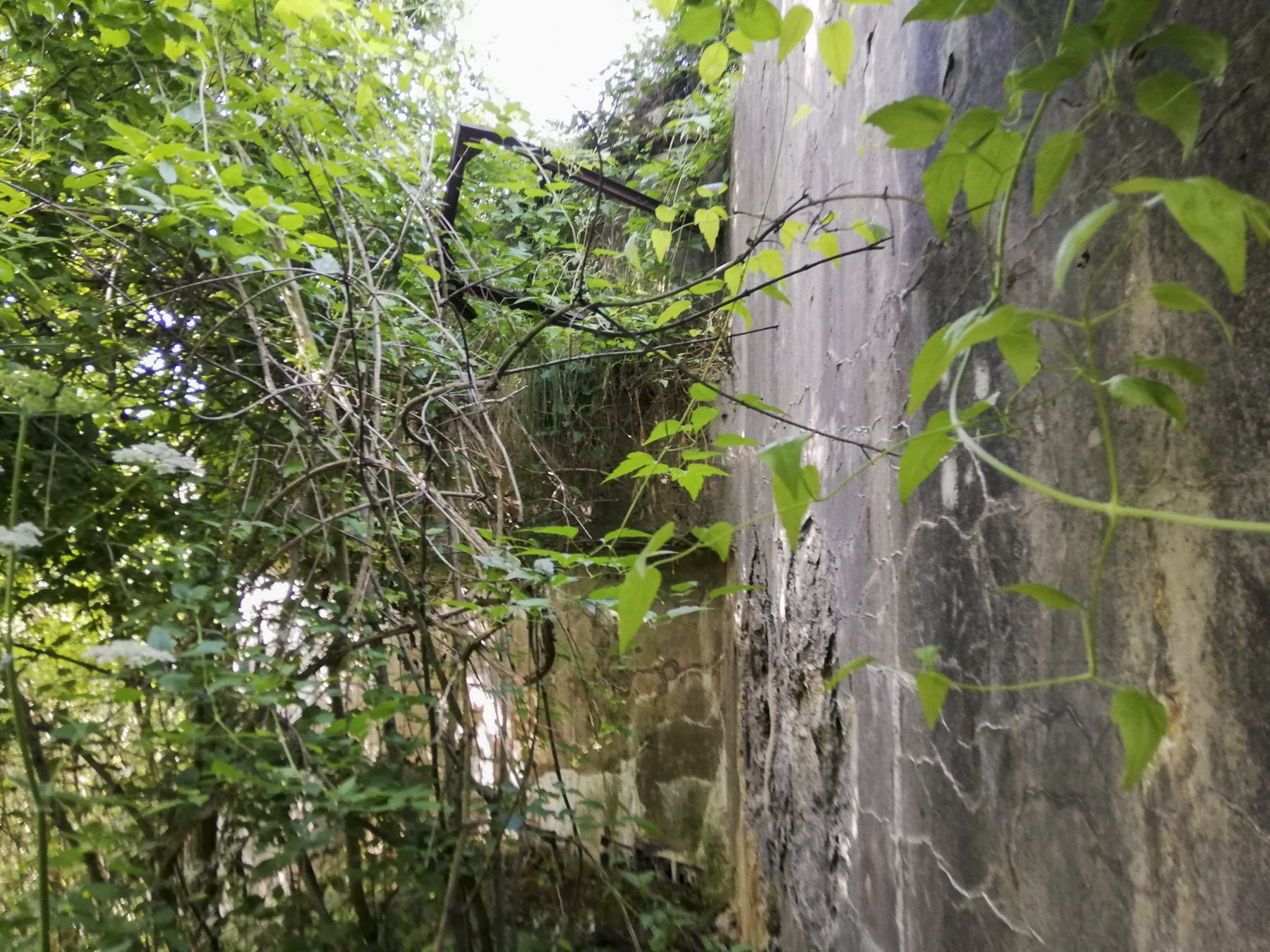 Ligne Maginot - BOVENBERG - A27 - (Ouvrage d'infanterie) - Bloc 1
Vue de la façade extérieure de l'entrée des hommes