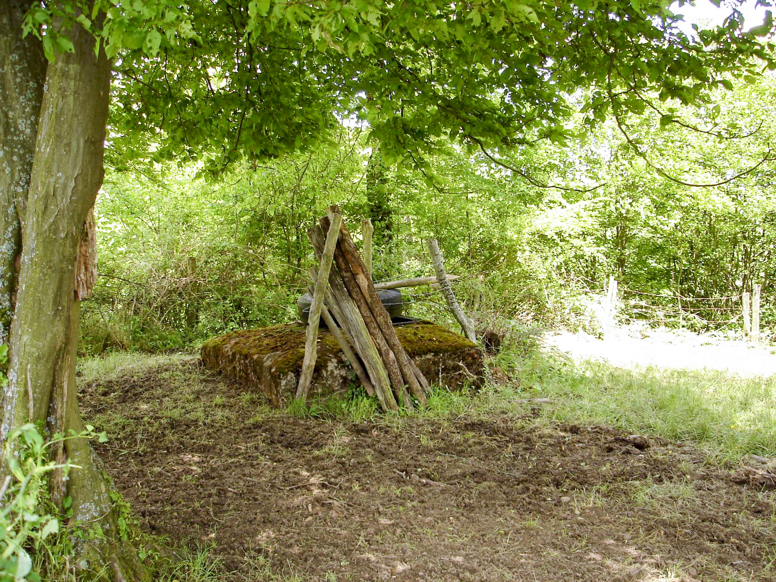 Ligne Maginot - BV22 - (Chambre de coupure) - 