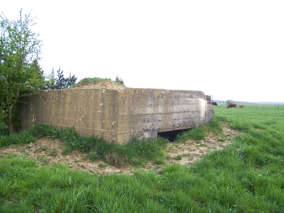 Ligne Maginot - DIEBELSWIESE - (Blockhaus pour arme infanterie) -  - JM57
