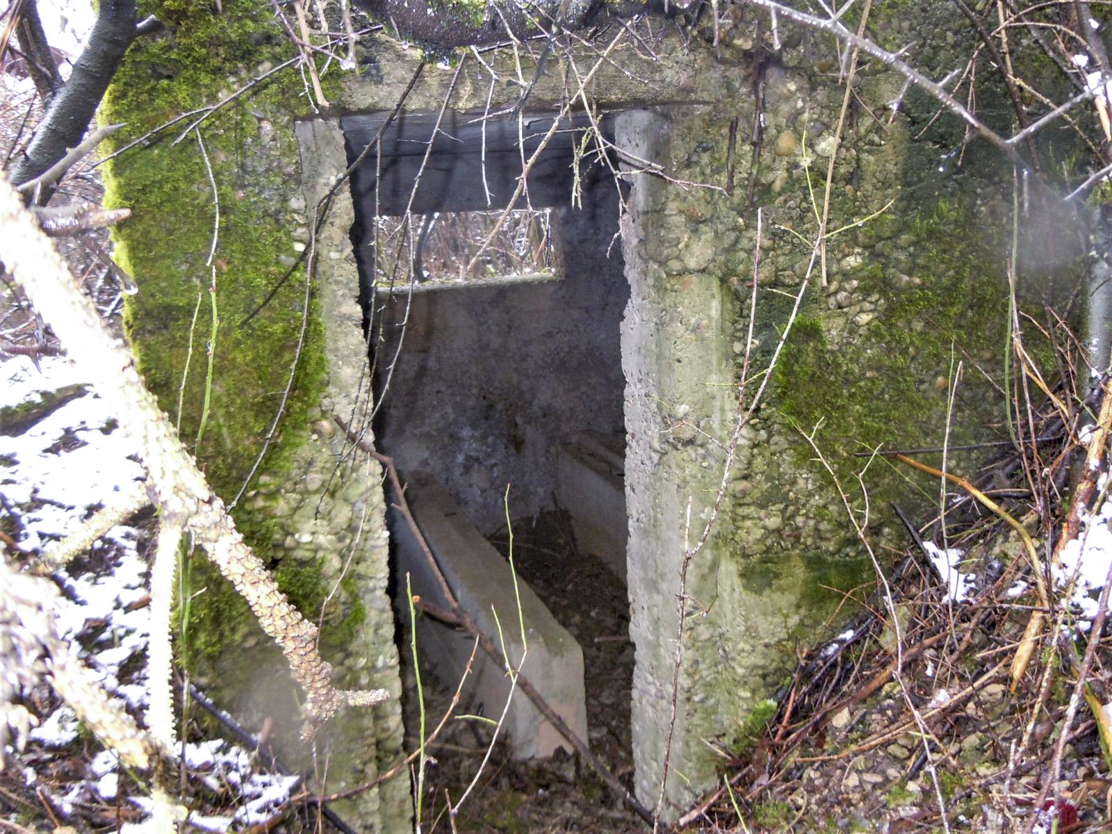 Ligne Maginot - DORFBRUNNEN NORD - (Blockhaus pour arme infanterie) -  - Jean-Marie Bach