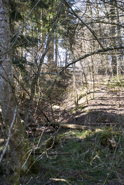 Ligne Maginot - FERME DE HEILIGENBRONN - (153° RIF - 59° RAMF) - (PC de Sous-Secteur) - Une tranchée 39/40 où 44/45 ?