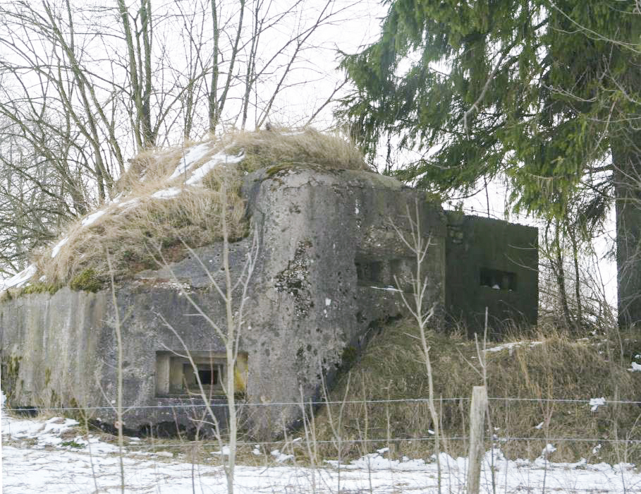 Ligne Maginot - FERME DES TUILERIES - BITCHERBERG 1 - (Blockhaus pour canon) -  - T. BACH