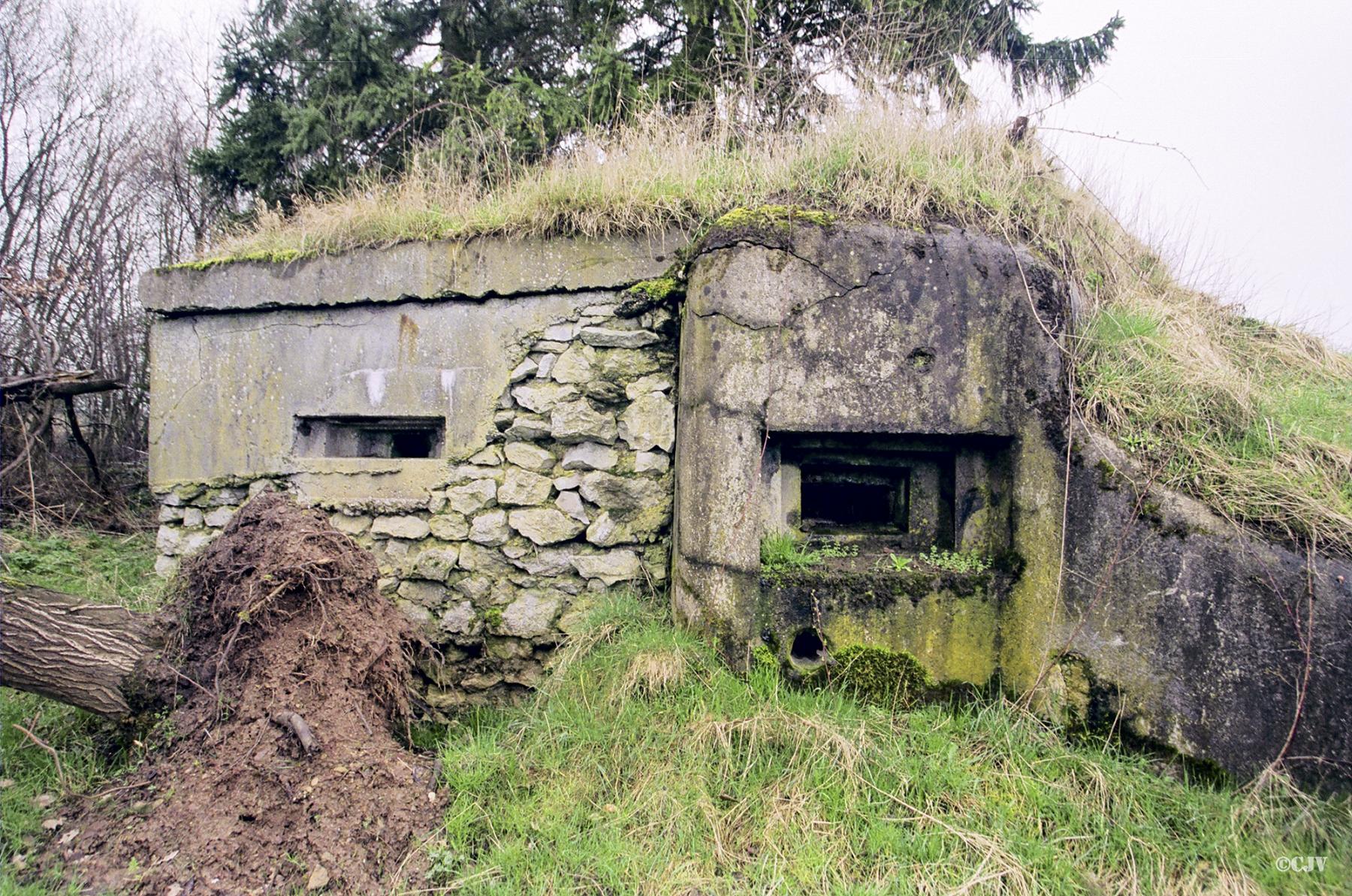 Ligne Maginot - FERME DES TUILERIES - BITCHERBERG 1 - (Blockhaus pour canon) -  - Lia VERMEULEN