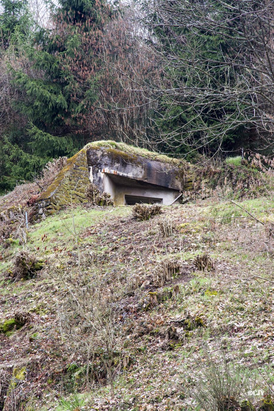 Ligne Maginot - FROHMUHL OUEST - (Blockhaus pour arme infanterie) -  - Lia VERMEULEN
