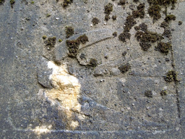 Ligne Maginot - FROHMUHL OUEST - (Blockhaus pour arme infanterie) - A coté de l'entrée - JM57