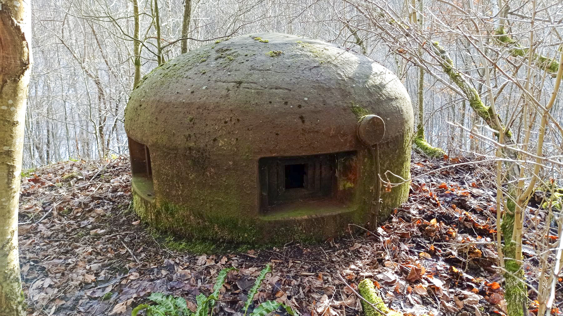 Ligne Maginot - FROHMUHL (PC DU QUARTIER KAPELLENHOF - II/153° RIF) - (Abri) - Extérieur de la cloche Guetteur Fusil Mitrailleur du coffre d'entrée Ouest