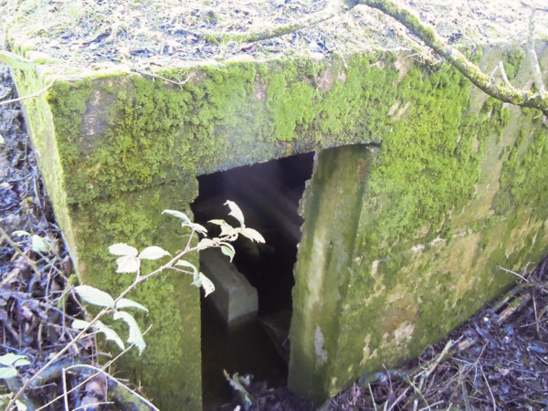 Ligne Maginot - GALGENBERG 2 - (Blockhaus pour arme infanterie) - Entrée