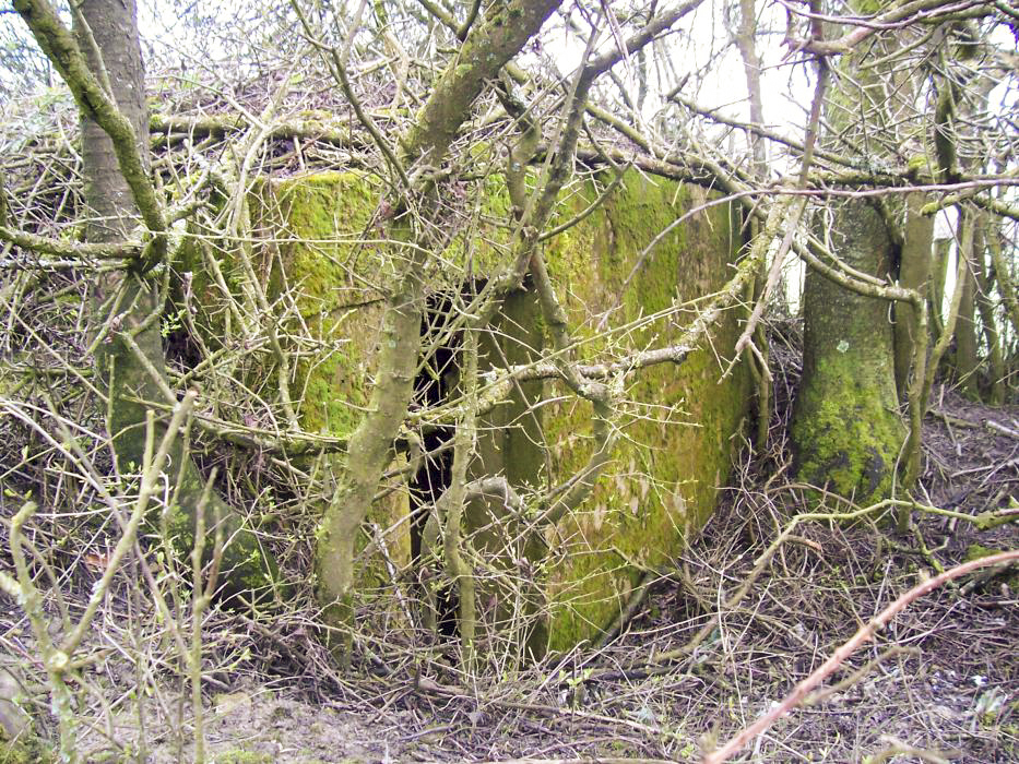 Ligne Maginot - GALGENBERG 2 - (Blockhaus pour arme infanterie) - L'entrée