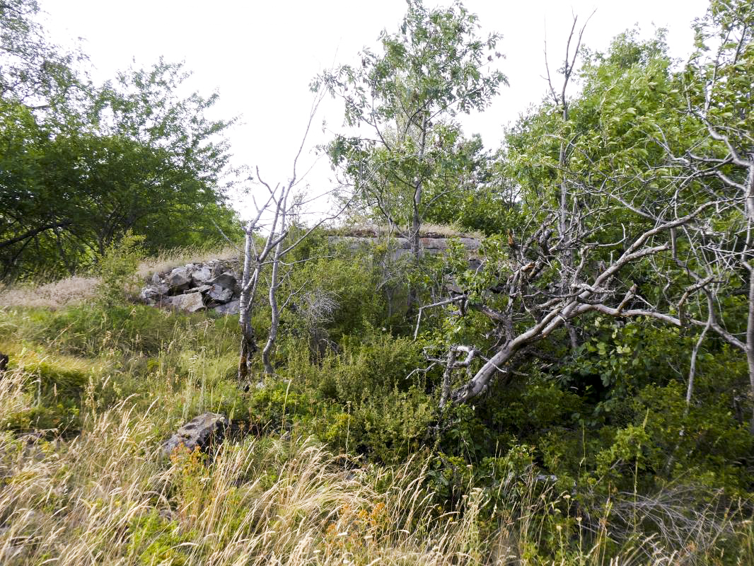 Ligne Maginot - AMODON - (Observatoire d'infanterie) - Vue sur le créneau observatoire Sud-Est