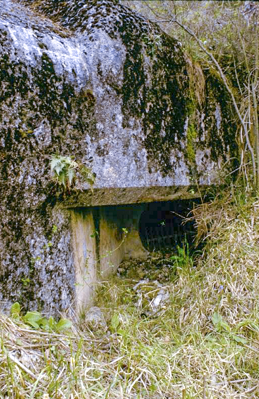 Ligne Maginot - SAINT ROCH (SHR) - (Ouvrage d'artillerie) - Bloc 2
La bouche d'aération - Alain LOVINY