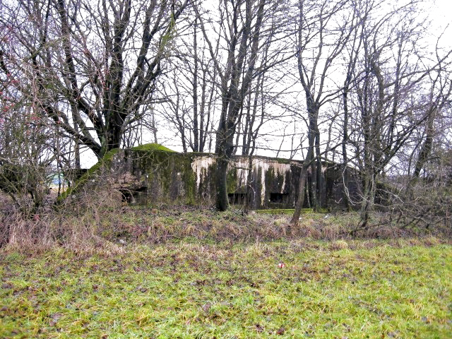 Ligne Maginot - HAMMELSWIESE 6 - (Blockhaus pour arme infanterie) - Vue générale