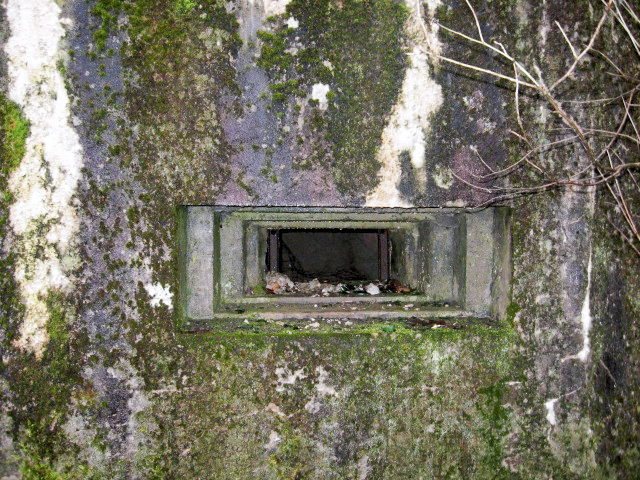 Ligne Maginot - HAMMELSWIESE 6 - (Blockhaus pour arme infanterie) - Créneau mitrailleuse