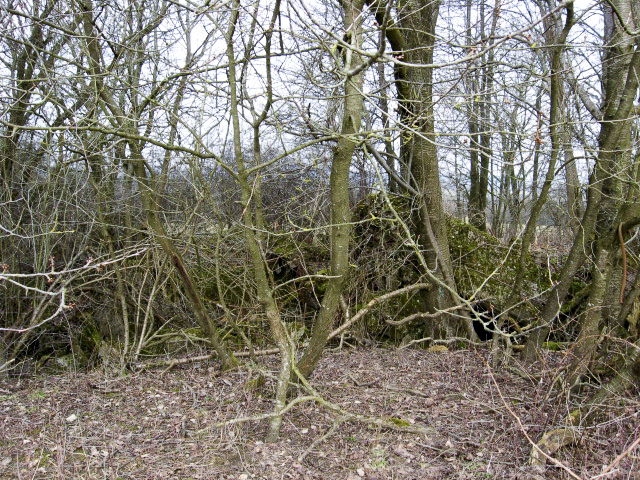 Ligne Maginot - HAMMELSWIESE 7 - (Blockhaus pour arme infanterie) - Vue générale - Christian LENHARD