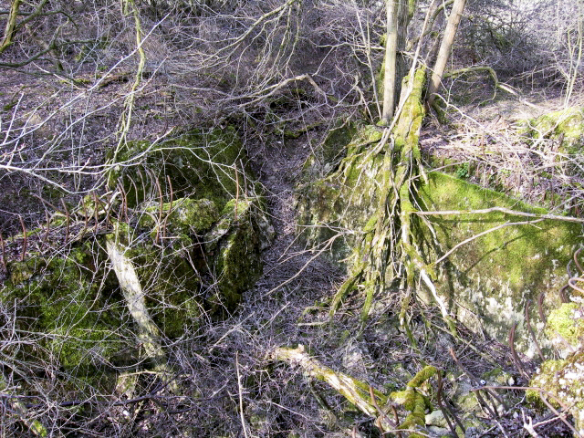 Ligne Maginot - HAMMELSWIESE 7 - (Blockhaus pour arme infanterie) - Vue générale - Christian LENHARD
