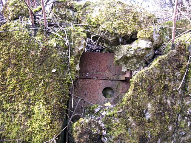 Ligne Maginot - HAMMELSWIESE 7 - (Blockhaus pour arme infanterie) -  - Christian LENHARD