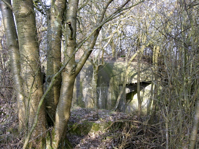 Ligne Maginot - HAMMELSWIESE 9 - (Blockhaus pour canon) - Vue générale - Christian LENHARD