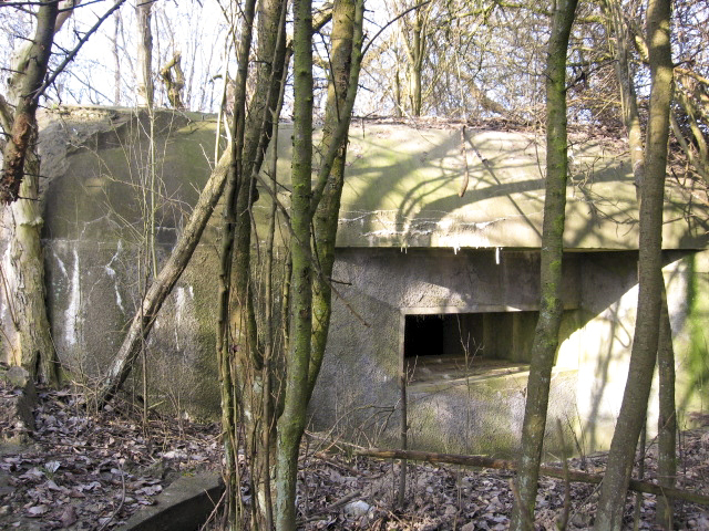 Ligne Maginot - HAMMELSWIESE 9 - (Blockhaus pour canon) - Façade de tir du canon - Christian LENHARD