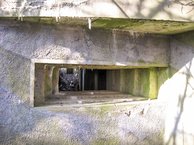 Ligne Maginot - HAMMELSWIESE 9 - (Blockhaus pour canon) - Créneau du canon - Christian LENHARD