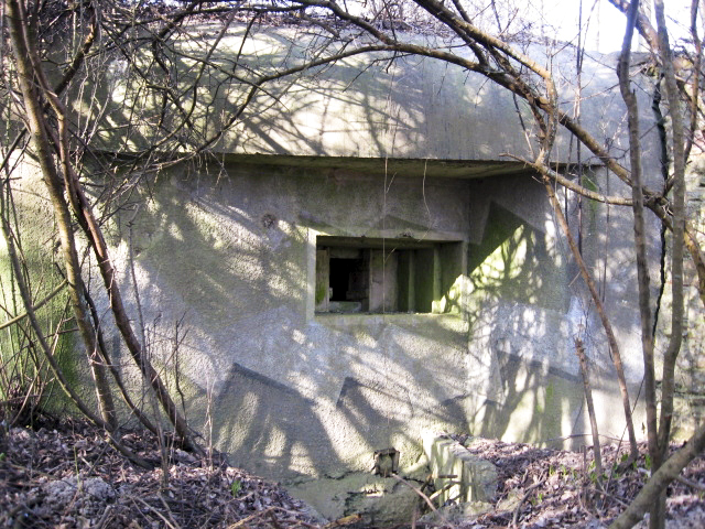 Ligne Maginot - HAMMELSWIESE 9 - (Blockhaus pour canon) - Créneau de tir mitrailleuse - Christian LENHARD