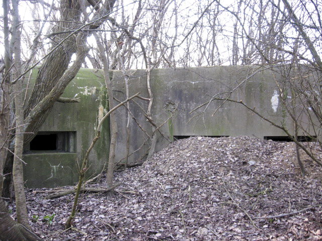 Ligne Maginot - HAMMELSWIESE 9 - (Blockhaus pour canon) - Le créneau mitrailleuse et les faux créneaux du mur d'aile - Christian LENHARD