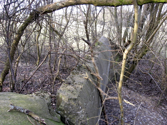 Ligne Maginot - HAMMELSWIESE 9 - (Blockhaus pour canon) - Mur d'aile - Christian LENHARD