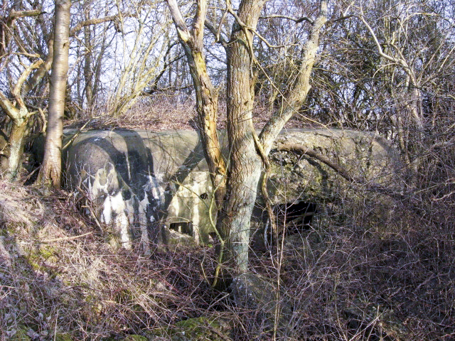 Ligne Maginot - HAMMELSWIESE 9 - (Blockhaus pour canon) - L'entrée du personnel et le créneau FM - Christian LENHARD