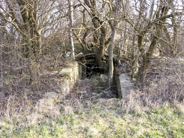 Ligne Maginot - HAMMELSWIESE 9 - (Blockhaus pour canon) - Façade arrière - Christian LENHARD