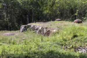 Ligne Maginot - SIMSERHOF - (Ouvrage d'artillerie) - Bloc 3
Le bloc après dégagement et nettoyage en 2014