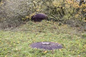 Ligne Maginot - SIMSERHOF - (Ouvrage d'artillerie) - Bloc 6
Cloche LG et GFM