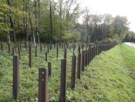 Ligne Maginot - SIMSERHOF - (Ouvrage d'artillerie) - Réseau de rails antichar