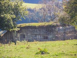 Ligne Maginot - JUDENHOF 2 (Blockhaus pour canon) - Vue générale