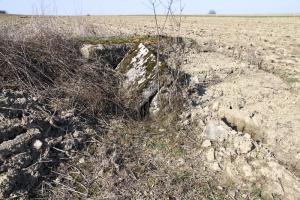 Ligne Maginot - LOSE 5 - (Blockhaus pour arme infanterie) - 