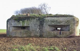Ligne Maginot - MISSLINGEN 1 - (Blockhaus pour canon) - Blockhaus dégagé de toute sa végétation