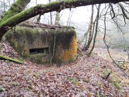 Ligne Maginot - RUISSEAU DU GROSSTHAL 2 - (Blockhaus pour arme infanterie) - 