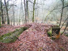 Ligne Maginot - RUISSEAU DU GROSSTHAL 2 - (Blockhaus pour arme infanterie) - 