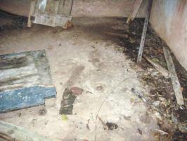Ligne Maginot - SCHWANGERBACH 1 - (Blockhaus pour canon) - 