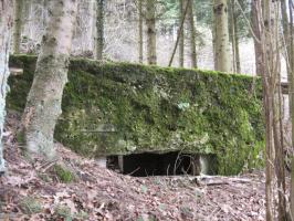 Ligne Maginot - SCHWANGERBACH 5 - (Blockhaus pour canon) - 