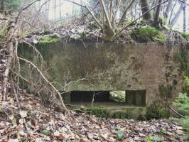 Ligne Maginot - SCHWANGERBACH 3 - (Blockhaus pour arme infanterie) - Façade de tir