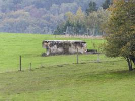 Ligne Maginot - SEELBERG 1 - (Blockhaus pour arme infanterie) - 