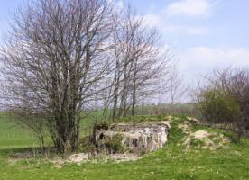 Ligne Maginot - SEELBERG 2 - (Blockhaus pour arme infanterie) - Facade arriere