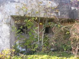 Ligne Maginot - SEELBERG EST - (Casemate d'infanterie) - Les créneaux de tir