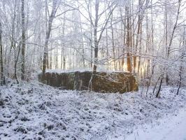 Ligne Maginot - SIMSERHOF OUEST 2 - (Blockhaus pour canon) - 