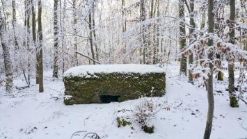Ligne Maginot - SIMSERHOF OUEST 1 - (Blockhaus pour arme infanterie) - 