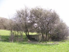 Ligne Maginot - TOTENBERG OUEST - (Blockhaus pour arme infanterie) - Vue générale