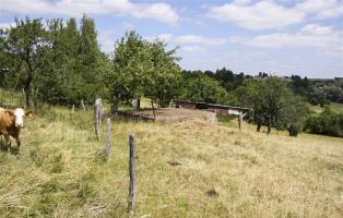 Ligne Maginot - TRUBACH OUEST - (Blockhaus pour canon) - 